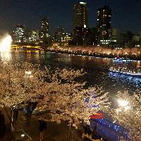 Hotel Osaka Castle