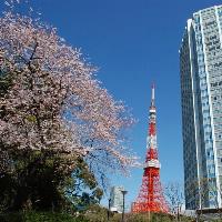 The Prince Park Tower Tokyo Hotel