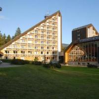 Image from OREA Resort Sklar Harrachov